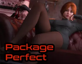Package Perfect